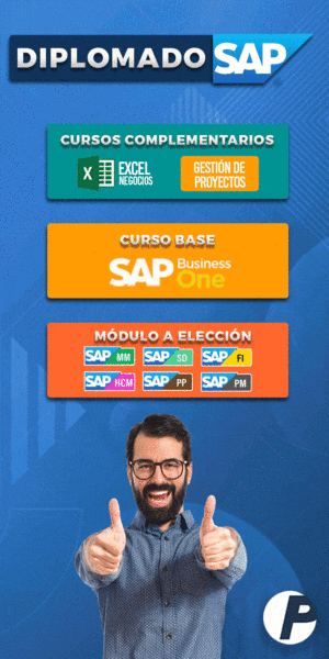 Formación y consultoría SAP - Prime Institute